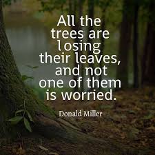 Look Into Nature To Find Inspiration It S God Gift To Us So As To Use As Examples In Our Everyday L Nature Quotes Trees Nature Quotes Adventure Nature Quotes