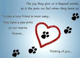 Thinking Of You Pet Loss Dog Sympathy Pet Sympathy