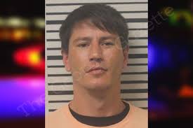 Cameron Williamson — Toombs County Jail Bookings