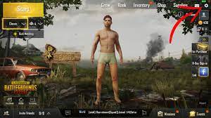 Pubg Mobile How To Enable Voice Chat Talk To Players Pwrdown