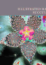 Image result for Stathmostelma pauciflorum