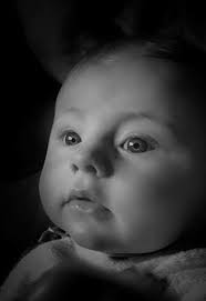 18 picture perfect portraits of people and pets