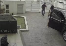 The best gifs of cant give it away on the gifer website. 38 Epic Fails That Will Make You Feel Better About Yourself Funny Gif Funny Pictures Laughing So Hard
