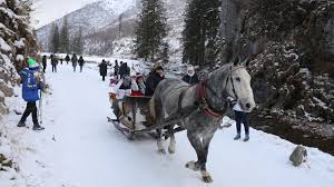 Zamknięte są galerie handlowe i zawieszana jest działalność teatrów, muzeów, domów kultury, stoków od 28 grudnia do 17 stycznia obowiązuje kwarantanna narodowa. Prq0wrfb1bzljm