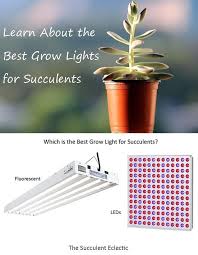 That is when grow light come into play. Grow Lights For Succulents A Simple Guide The Succulent Eclectic Grow Lights For Plants Grow Lights Indoor Grow Lights