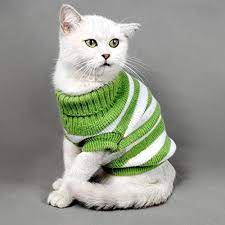 Amazon Com Striped Cat Sweaters Kitty Sweater For Cats Knitwear Small Dogs Kitten Clothes Male And Female High Stretch Soft Warm Green S Pet Supplies