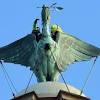 In 1922 the bird appeared on the club flag created for celebrating the victories of the team in the league. Https Encrypted Tbn0 Gstatic Com Images Q Tbn And9gcsgxfcx9 Sra1bc Q19nlaylqzwppuhd3kj0qvczly9uepndyae Usqp Cau