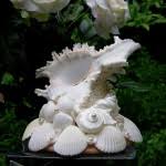 Deniz kabukları ile ilginç fikirler. Hobi Fikirleri Yaratici El Isi Ornekleri Deniz Kabuklarindan Neler Yapilir