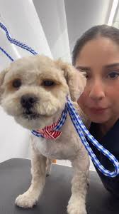 Whoops! Looks like Ruffles is a handful, and they couldn’t handle it! But  don’t worry Rosa got this! Watch her work her magic and get it done right!,  🐾 Book your pup’s spa day here:, ...