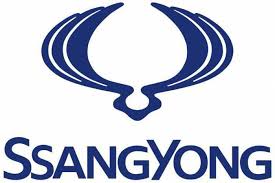 Logo proton semasa, yang telah digunakan sejak tahun 2008 dengan pengenalan generasi kedua proton saga adalah sama dengan lencana 2000, tetapi dihasilkan dalam dua nada, perak dan reka bentuk hitam sebaliknya. Jenama Kereta Korea Gambaran Keseluruhan
