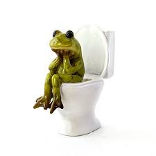 We offers bath frogs products. Cutest Frog Bathroom Decor
