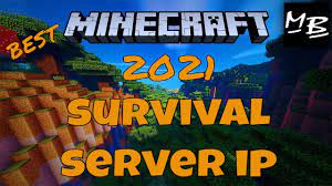 What is the vanilla server in minecraft? Best Minecraft Survival Server 2021 Youtube