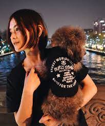 ステューシー 犬服 tシャツ stussy ドッグウェア 親子服 レディース 通販 犬の服 ペアルック 服 レディース