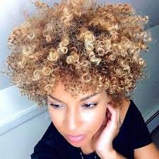 African hairstyles short hair highlights american hairstyles straight hairstyles short straight hair short natural hair styles short blonde hair natural african. Chic Curly Short Hairstyles For Ladies Medium Hair Styles Blonde Natural Hair Natural Curls Hairstyles Natural Hair Styles