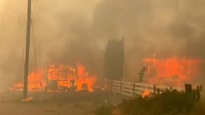Enormous wildfires are burning across several western states, but winds are carrying the smoke much further. Heatwave In Canada Sparks Wildfires Across British Columbia Saudi Gazette