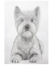 Ooit Twee Van Deze Leuke Hondjes Gehad Dog Hond Westie Westhighlandwhiteterrier Tekening Tekenen Dra In 2020 Hond Tekeningen Honden West Highland White Terrier