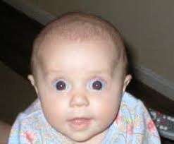 The Bastards Keep Grinding