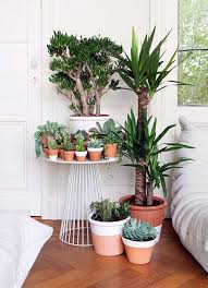 40 Smart Mini Indoor Garden Ideas Bored Art Plants Indoor Plants Indoor Gardens
