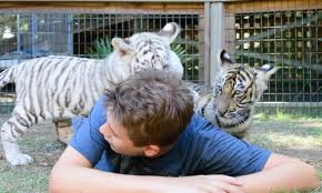 Fun Things To Do In Gulf Shores Alabama With Kids Gulf Shores Alabama Gulf Shores Alabama Vacation Alabama Gulf Coast Zoo