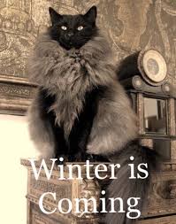 You Know Nothing Jon Snow Game Of Thrones Dog Cat Cute Animals Cats