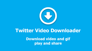 A Twitter video downloader lets you download any video in seconds — fast,  easy, and free! Whether it's a viral clip, news update, or a tutorial, just  copy the tweet link, paste