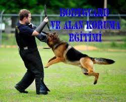 Bodyguard Egitimi Kopek Egitimi Kopek Egitim