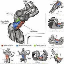 Workout Training Of Abdominal Muscles For Increased Six Pack Abs Virileman5 Weight Training Workouts Gym Workouts Abs Workout