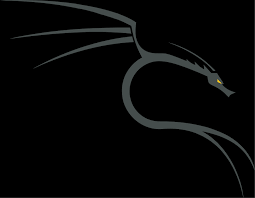 Kali Linux Dragon Edit Os Wallpaper Hd Wallpaper Kali