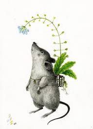 Tra il gatto e il topo, vince sempre il topo. Topi Perche Salvarli Topipittori