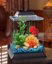 Small Fish Tank Decorations Fish Tank Decorations Fish Tank Stand Fish Tank