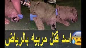Video فيلم سكس سعودي technorati00:17. Bwru Epwlvbbm