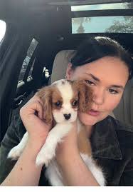 Thank you, Petland, for being so amazing and helping us find the sweetest  addition to our family. We’re already so in love. 🤍 @Petland Bradenton  #puppy #kingcharlespuppy #fyp