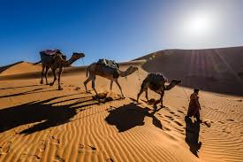 We did not find results for: Sahara Desert Morocco Pictures Download Free Images On Unsplash