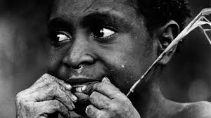 Still Journey On. The Films of Robert Gardner