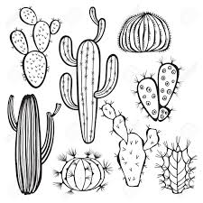 Vector black and white seamless horizontal repeat pattern border with growing succulents and cacti in pots. Cactus Clipart Black And White Free Vector N Clip Art