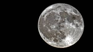 Check spelling or type a new query. Vollmond Im Juni Mdr De