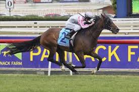 Danny O'Brien Racing