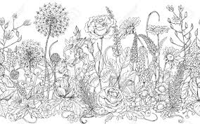 Scegli i fiori più adatti ad ogni occasione e compra online! Vettoriale Disegnato A Mano Modello Di Linea Senza Soluzione Di Continuita Con I Fiori Di Campo Doodle In Bianco E Nero Fiori Selvatici E Erba Per La Colorazione Bianco E Nero