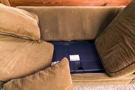 Finding proof always comes first. How To Get Rid Of Bed Bugs In A Couch Pest Hacks