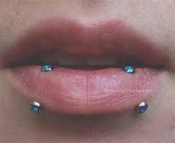 silver studs dolphin bites piercing vertical labret piercing face piercings labret piercing