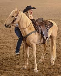 Wylene Wilson of Wild West Horsemanship