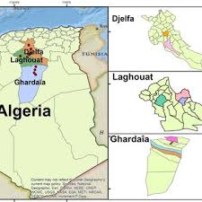 Image result for Deverra denudata