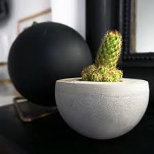 Diy Kit Diy Cache Pot En Ciment Pret A Creer Pots En Beton Objet Deco Cache Pot