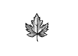 Steven Noble Illustrations Maple Leaf Icon Tattoos Maple Tree Tattoos Maple Leaf Tattoos