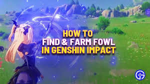 Genshin Impact Where To Get Fowl Fowl Bird Hunting Farm