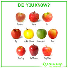 Pin On Did You Know Facts