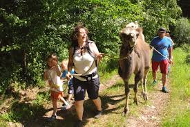Kamelwanderung Im Pegnitztal Familienzeit Entdecken De