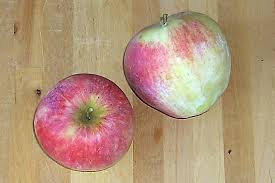 Je nachdem, wo du einkaufst, kennst du sicher eine handvoll apfelsorten und kannst sie auch. Apfelsorte Reanda Obergut Safterzeugung Saftig Feinzellig Aromatisch