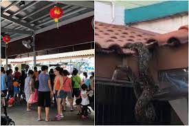 Check spelling or type a new query. Python Sighting At Bukit Batok Wet Market Gets Residents In A Knot Singapore News Top Stories The Straits Times