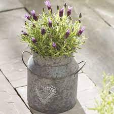 Check spelling or type a new query. Latest Next Flowers Discount Codes Vouchers August 2021